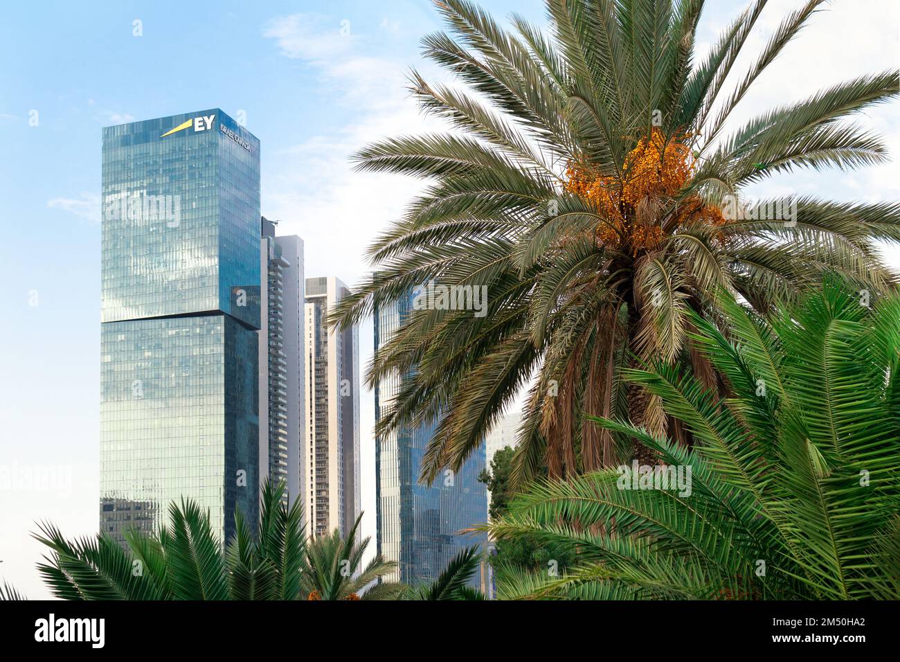 Palm trees modern buildings hi-res stock photography and images - Alamy