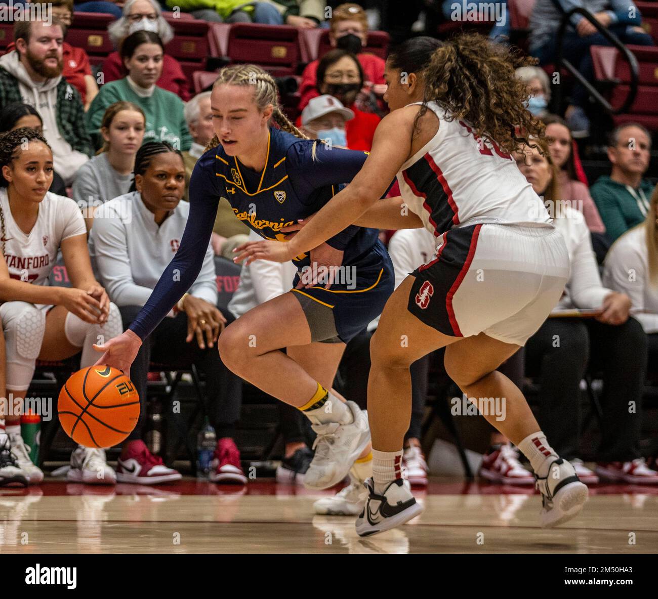 2022 0256 jpg hi-res stock photography and images - Alamy