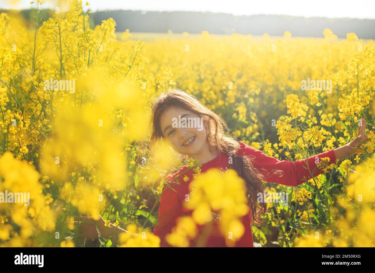 Cute little girl playing with yellow flowers in summer field. Happy child outdoors Stock Photo