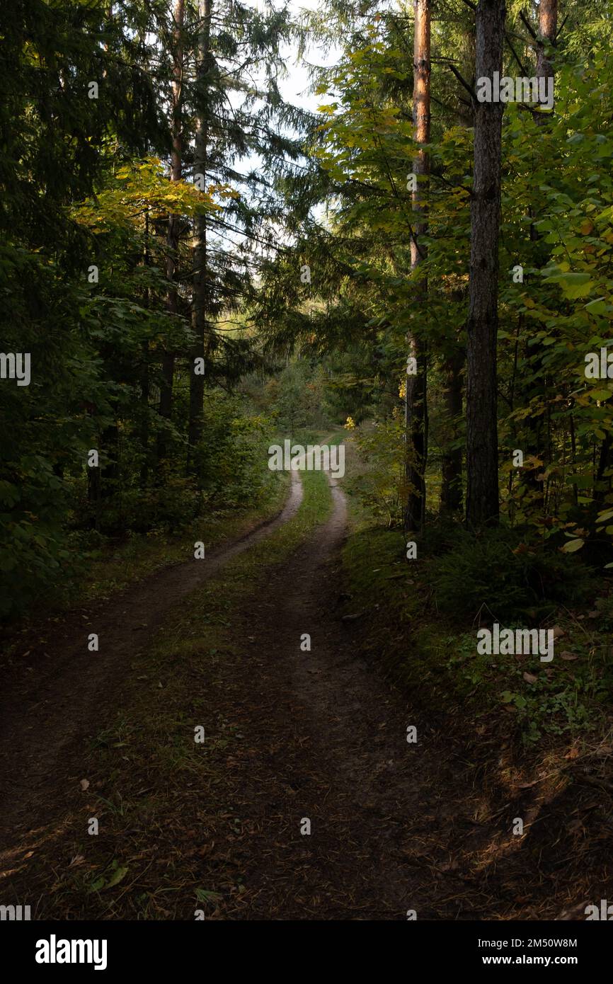 Vertical shot pathway through hi-res stock photography and images - Alamy