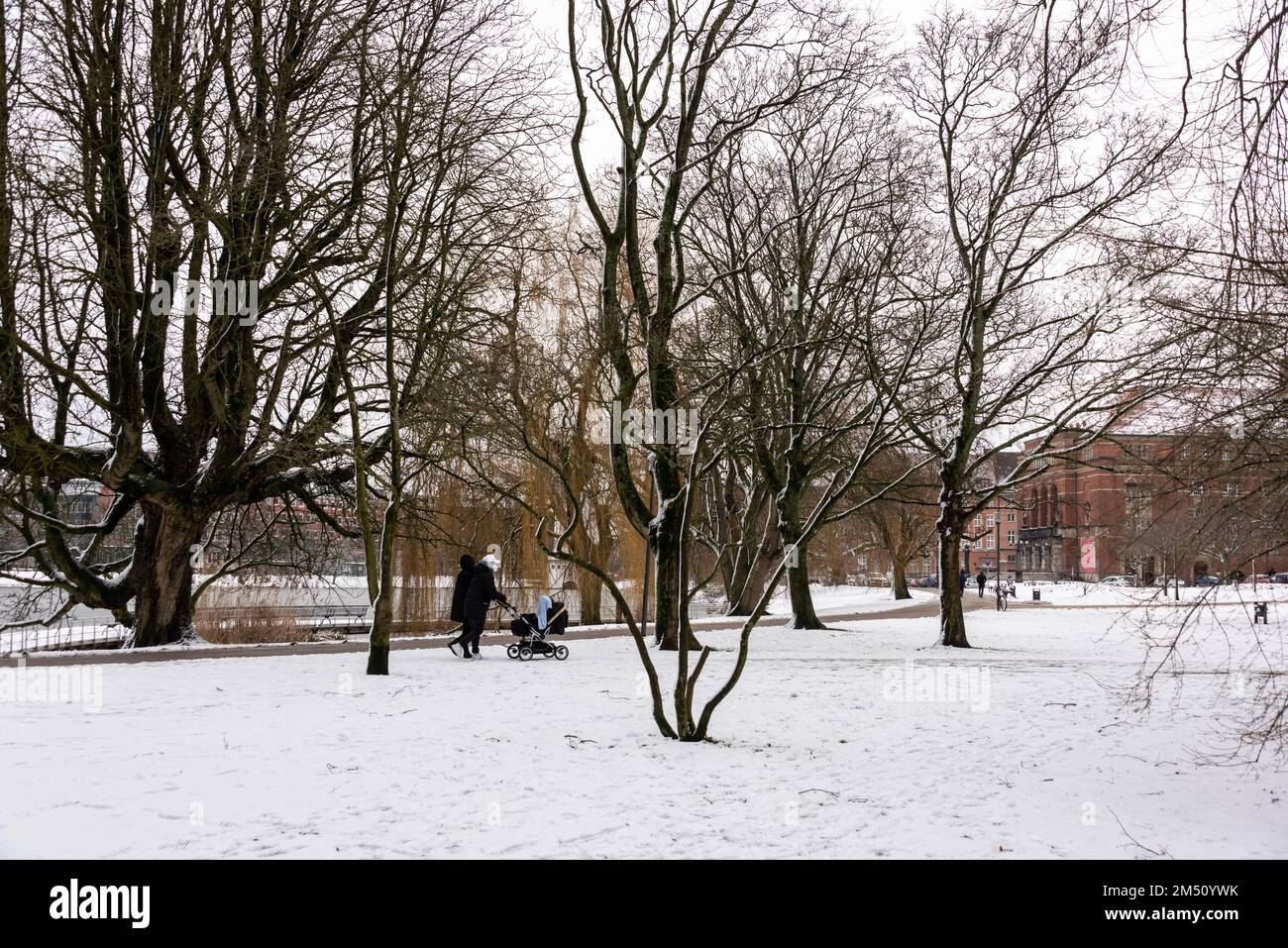Eingeschneiter Hiroshimapark in Kiel Stock Photo