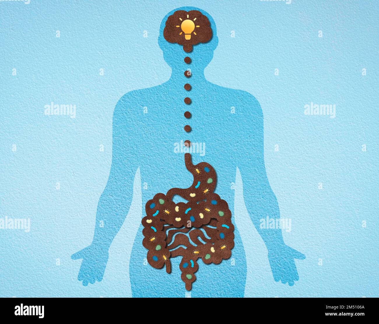 The Gut-Brain Axis - The Integration Between the Central Nervous System and the Gastrointestinal Tract - Conceptual Illustration Stock Photo