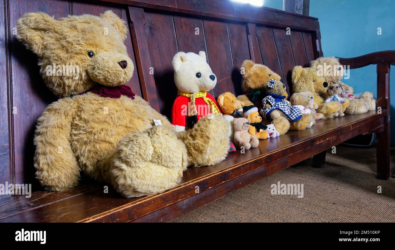 Teddy Bear Congregation at St Mary the Virgin, Capel-y-ffin, Black Mountains, Brecon Beacons, Powys, Wales, UK Stock Photo