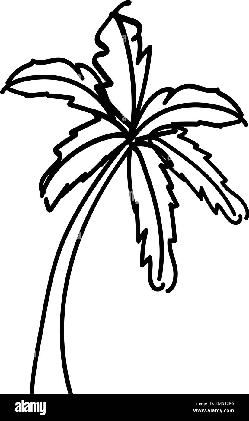 Palm Tree Black And White Clip Art