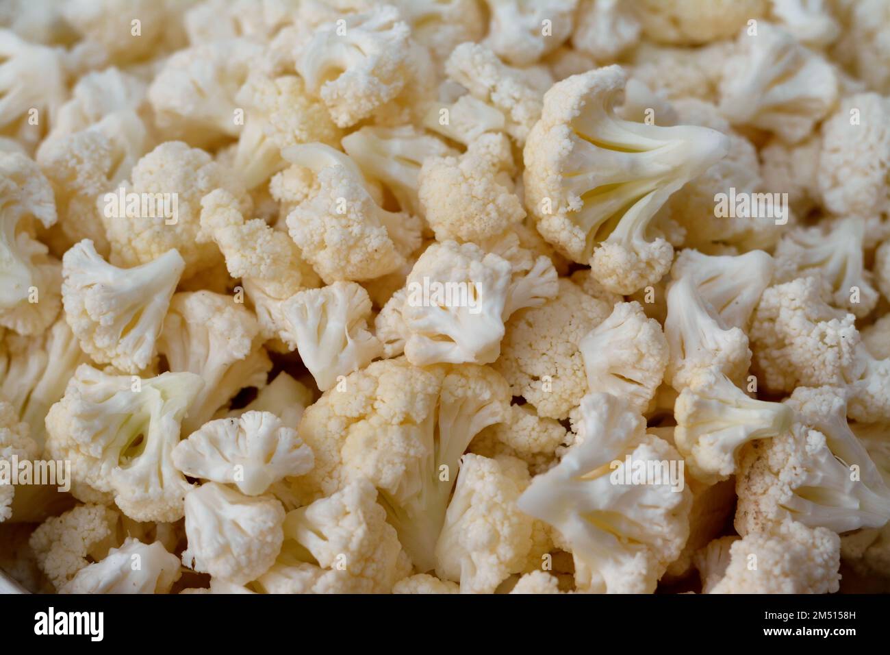 Fresh pieces of cauliflower vegetable in the species Brassica oleracea