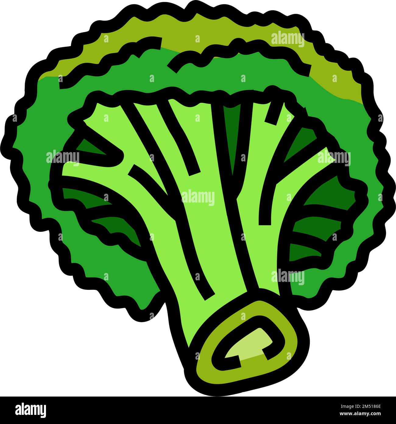 broccoli vegetable color icon vector illustration Stock Vector Image