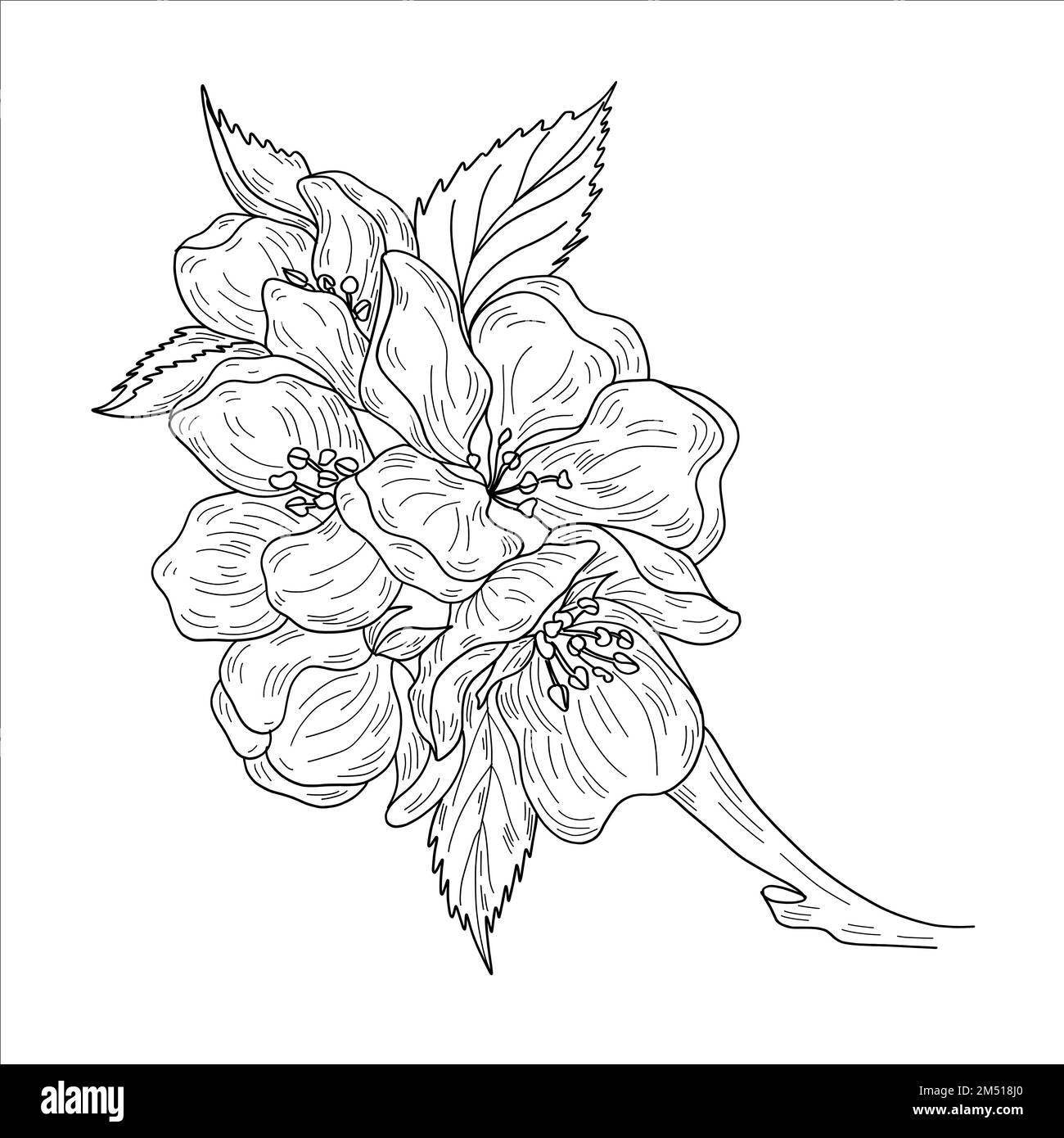 Vector apple branches with leaves, buds and flowers Stock Vector