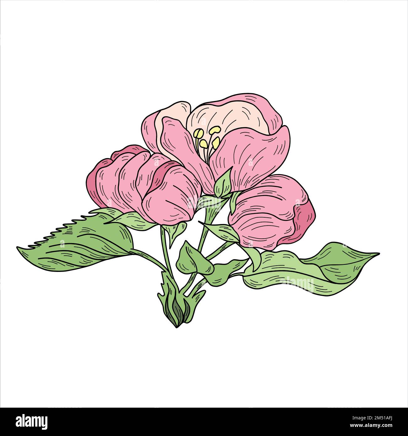 Vector apple branches with leaves, buds and flowers Stock Vector