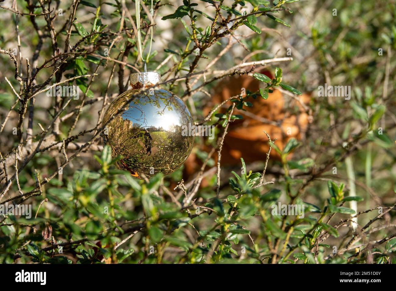 photographer and old house reflecting in gold christmas bauble with green leaves and foliage in the background Stock Photo