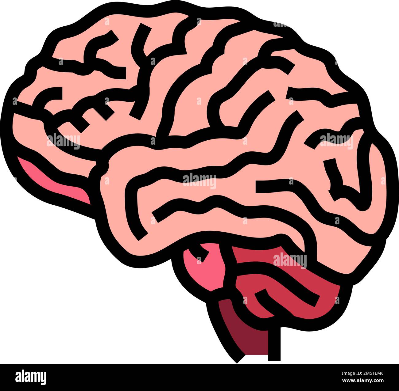 human brain human color icon vector illustration Stock Vector Image ...
