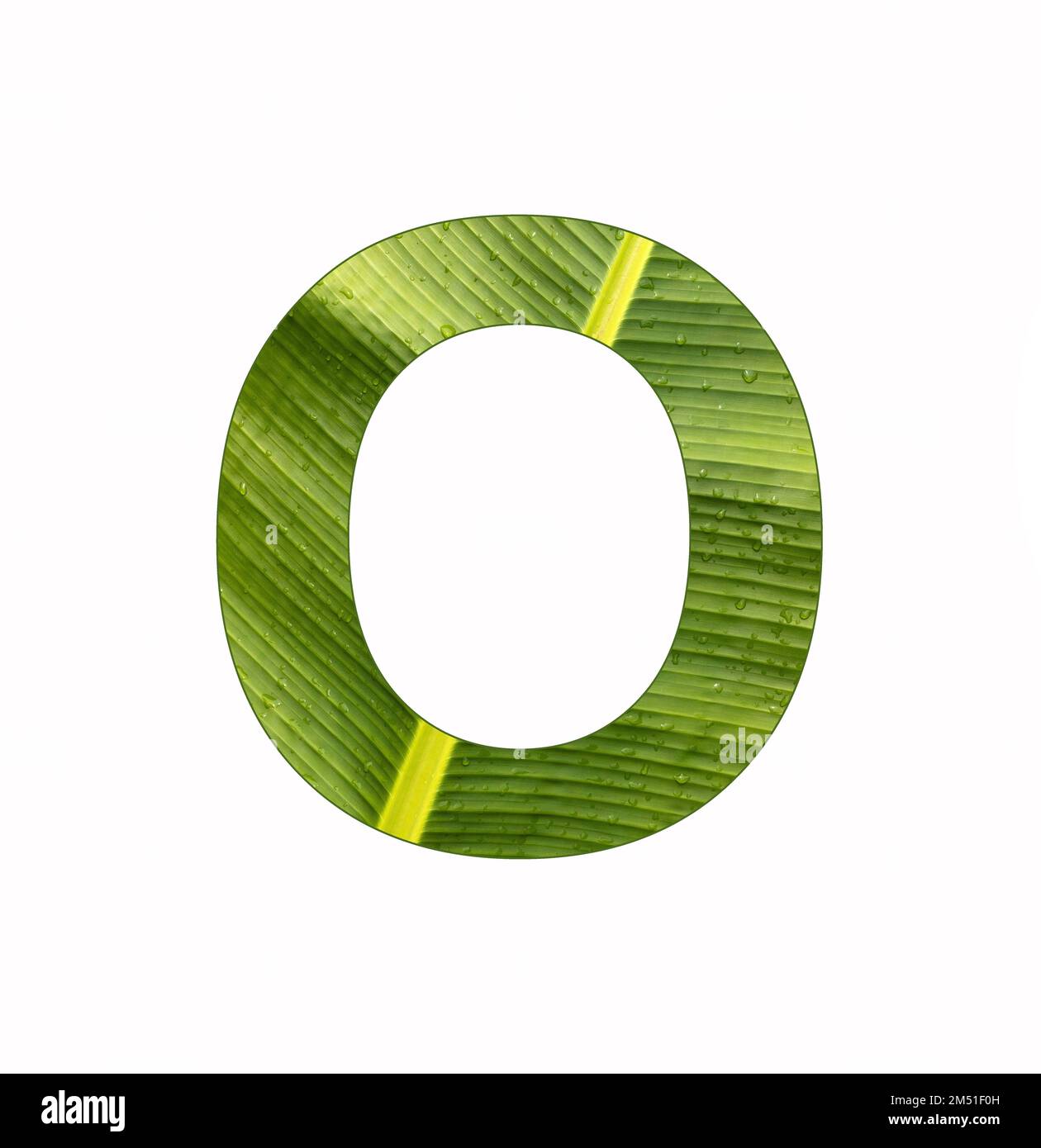 Alphabet Letter O - Banana plant leaf background Stock Photo