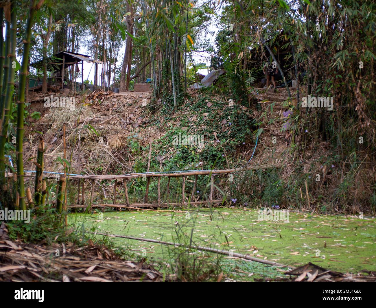 Old wooden railroad bridge over hi-res stock photography and images - Alamy