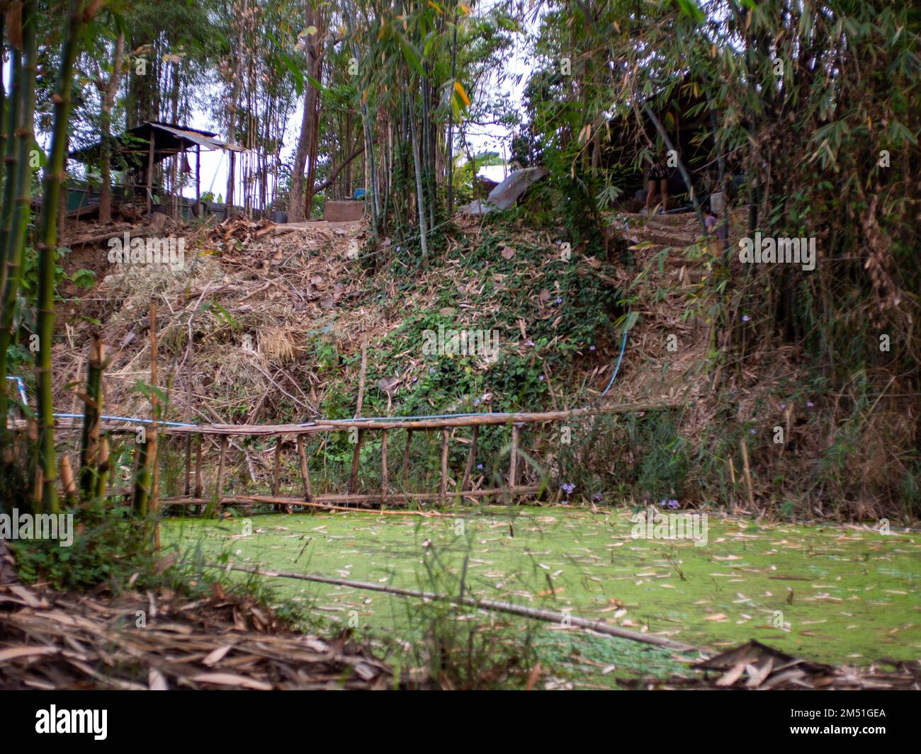 Old wooden railroad bridge over hi-res stock photography and images - Alamy