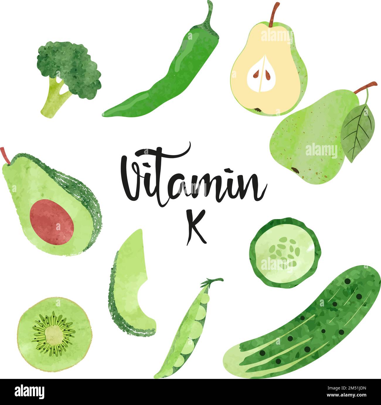 Green vegetables and fruits. Vector illustration of Vitamin K rich