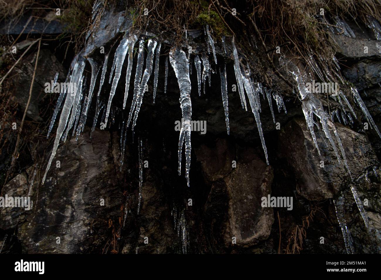 **NORMAL USAGE FEES APPLY**   Newbiggin, County Durham, UK - Friday 9th December 2022;   Big Icicles pictured in the County Durham village of Newbiggi Stock Photo
