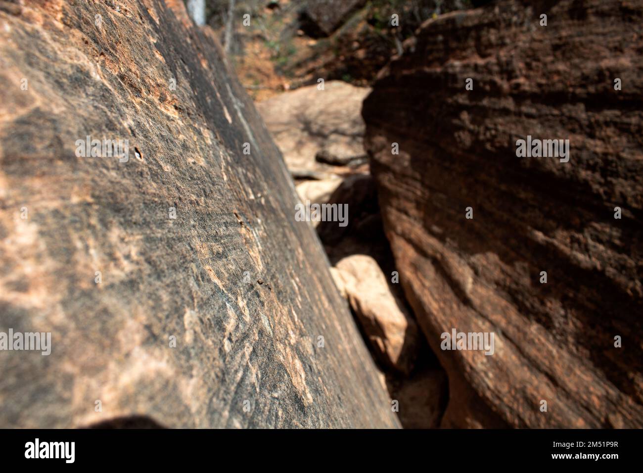 Zion National Park Sandstone Stock Photo