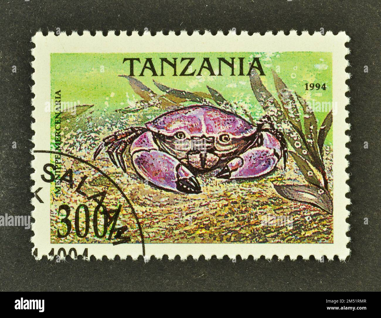 Cancelled postage stamp printed by Tanzania, that shows Florida Stone Crab (Menippe mercenaria), circa 1994. Stock Photo