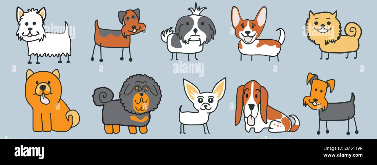Pattern of many different dog breed.Illustration vector Stock Vector