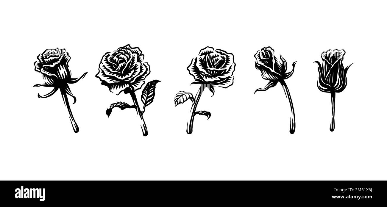 A set of roses isolated on white background Stock Vector Image & Art ...