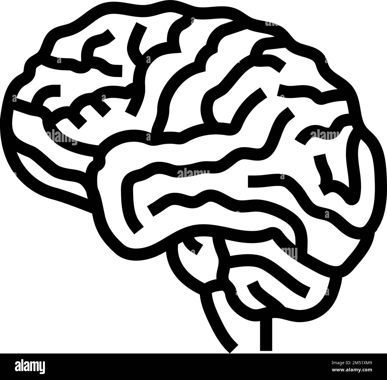 human brain human line icon vector illustration Stock Vector Image ...