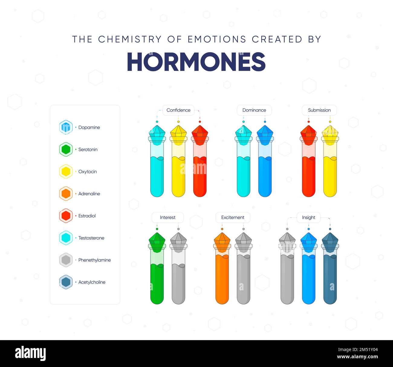 The chemistry of emotions created by hormones. Dependence of the state and mood of the person on hormonal background. Names of hormones and medical fl Stock Vector