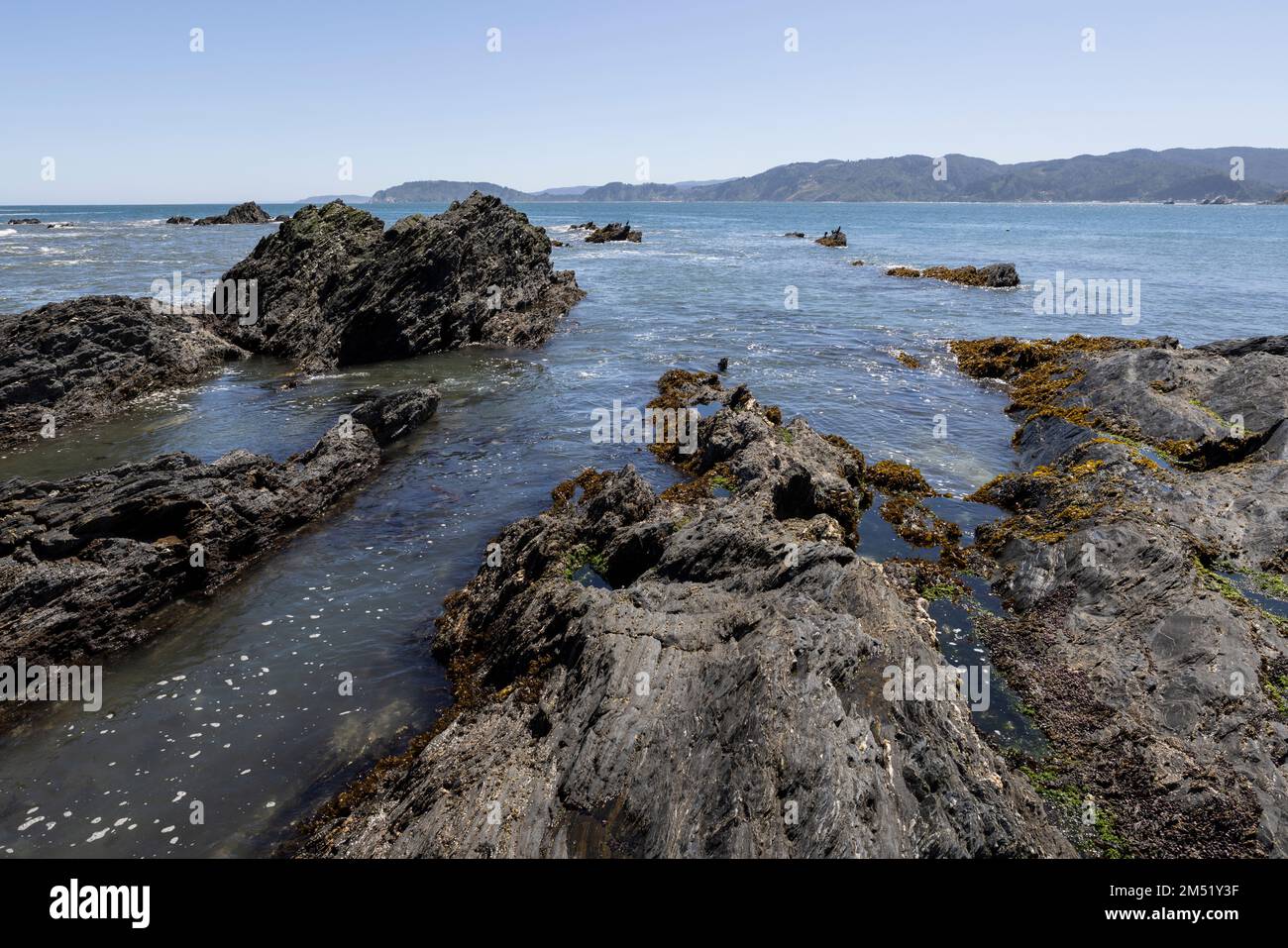 serrated rocks at Isla Maiquillahue in the Pacific Ocean of Chile Stock ...