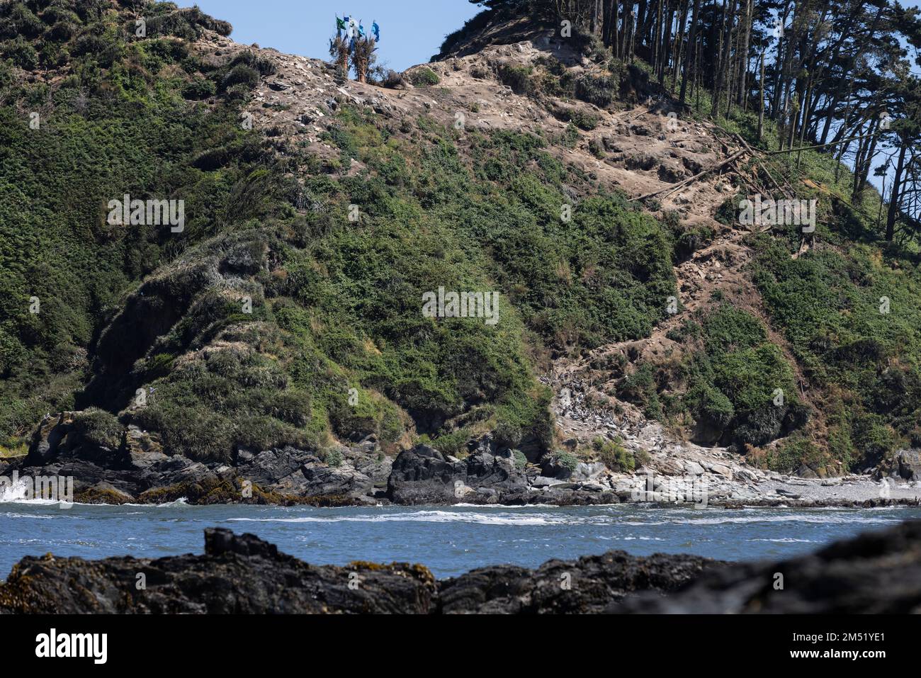 Isla Maiquillahue and big, serrated rocks in the Pacific Ocean of Chile ...