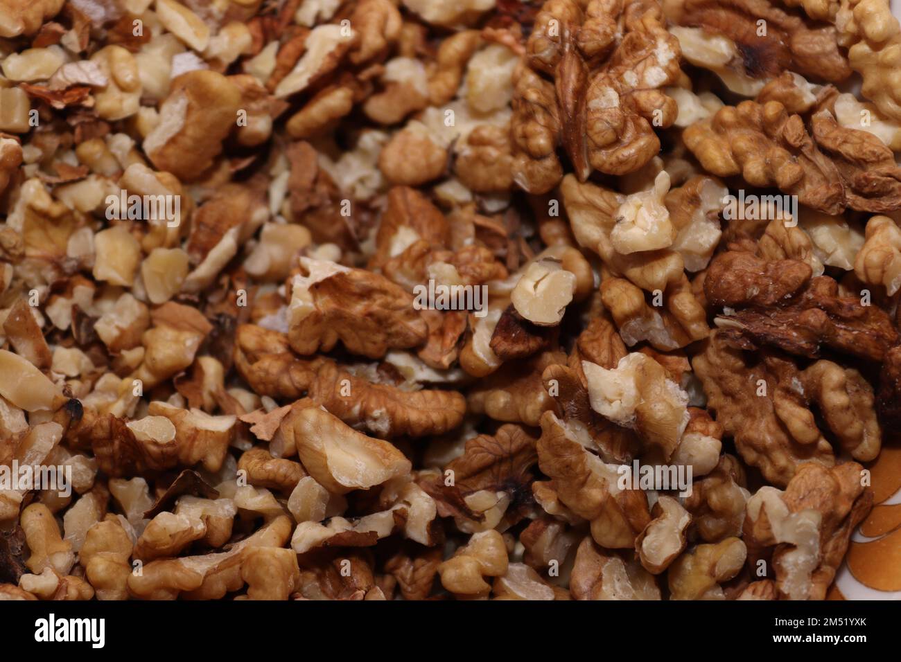 Walnut Yellow Texture Walnut texture that can also be used as a background for different ...