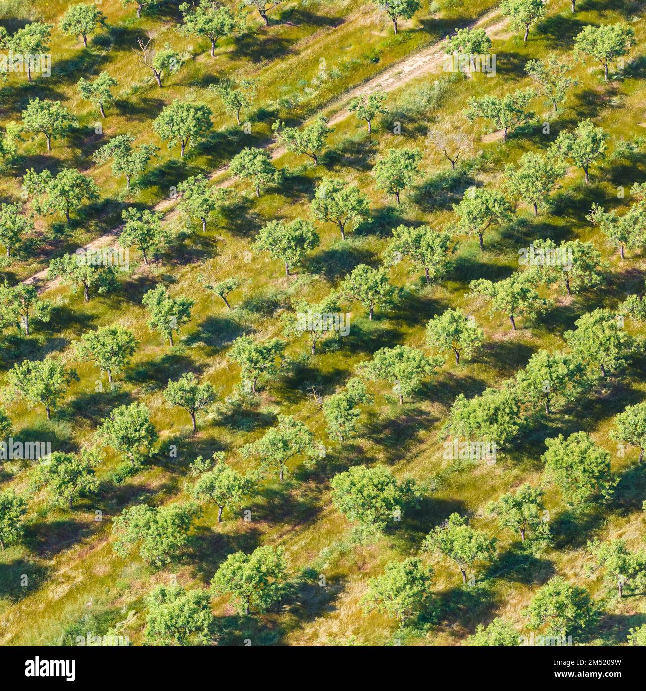 Aerial photography top view hi-res stock photography and images - Alamy