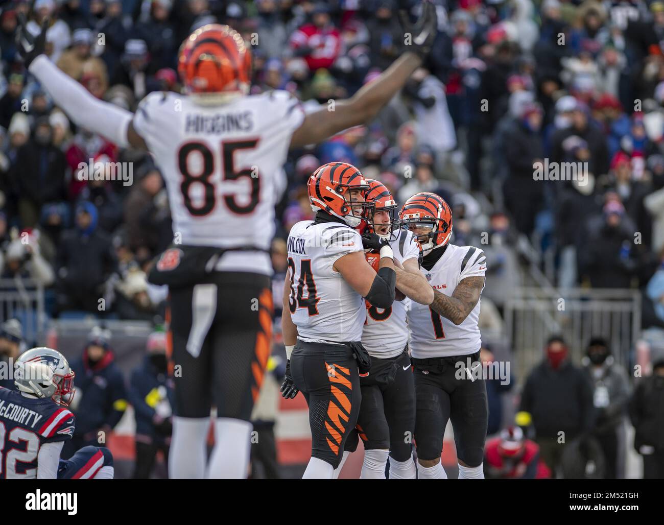 Foxborough, United States. 24th Dec, 2022. Cincinnati Bengals wide