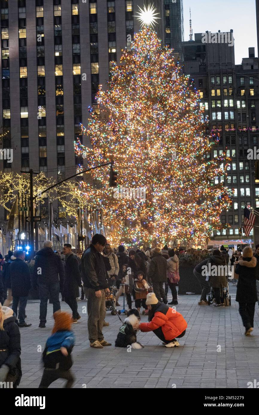 The Rockefeller Center Christmas Tree is an iconic holiday tradition in New York City, USA  2022 Stock Photo