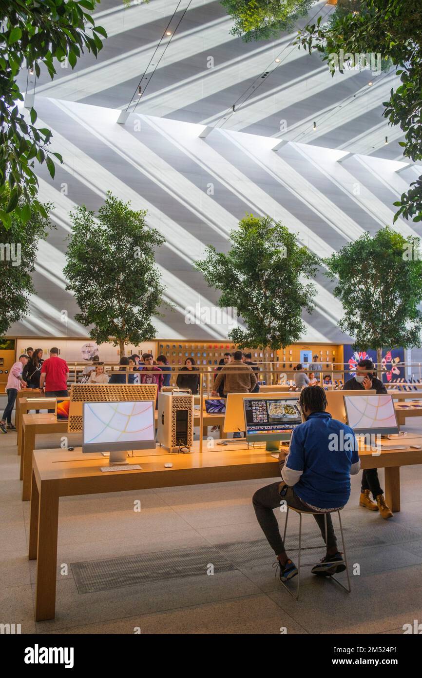Apple Store, The Grove, Los Angeles, California, United States of