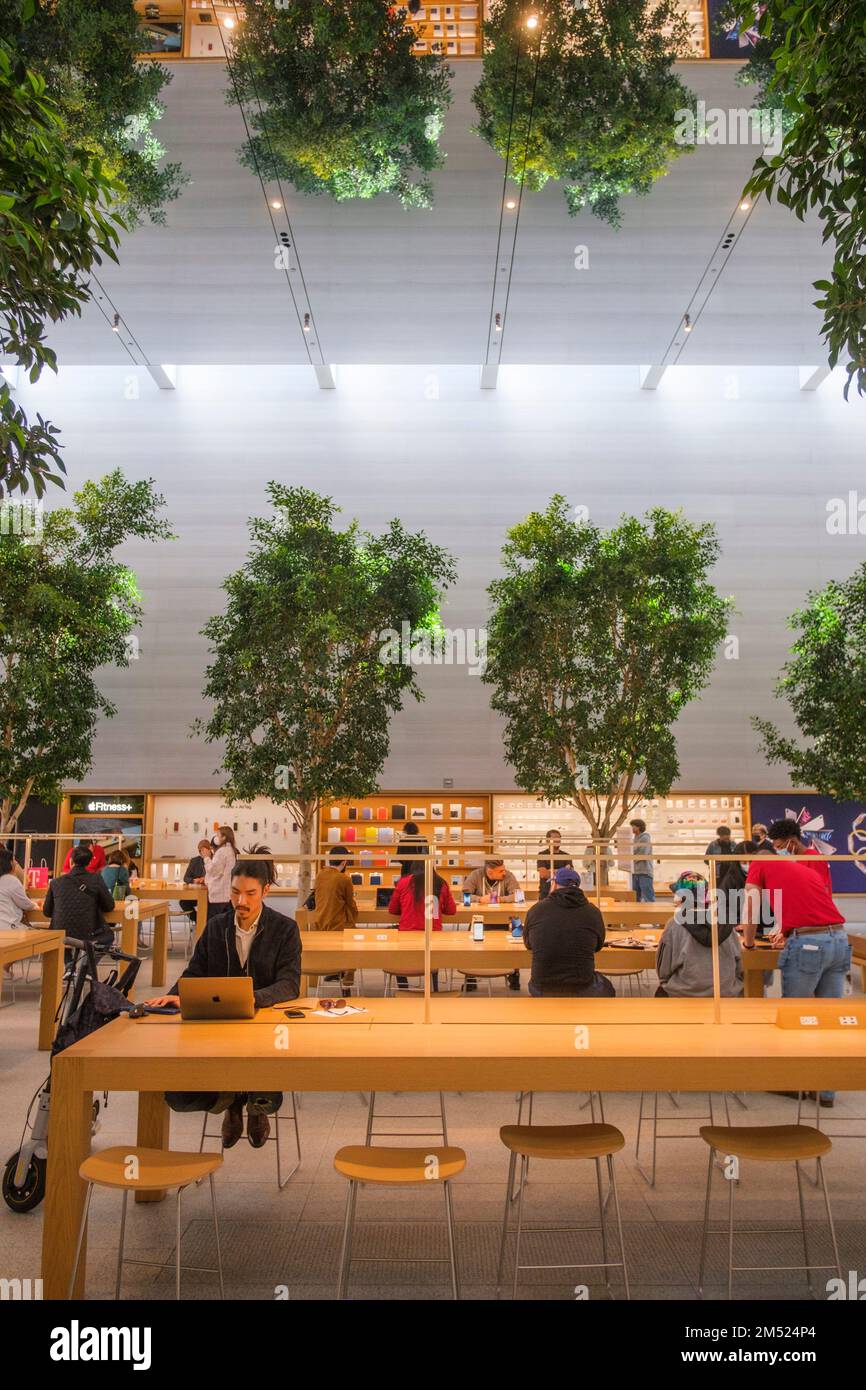 Apple Store, The Grove, Los Angeles, California, United States of