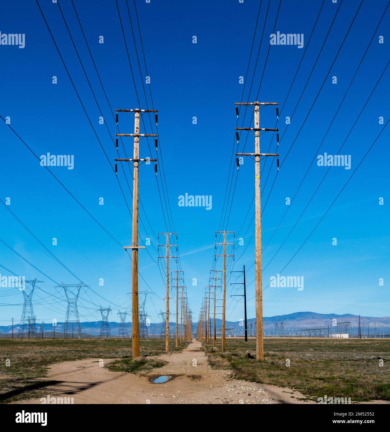 Wooden poles and power lines run in parallel into the distance on rigid flat la. Additional metal power poles are in the distance on the left. Stock Photo