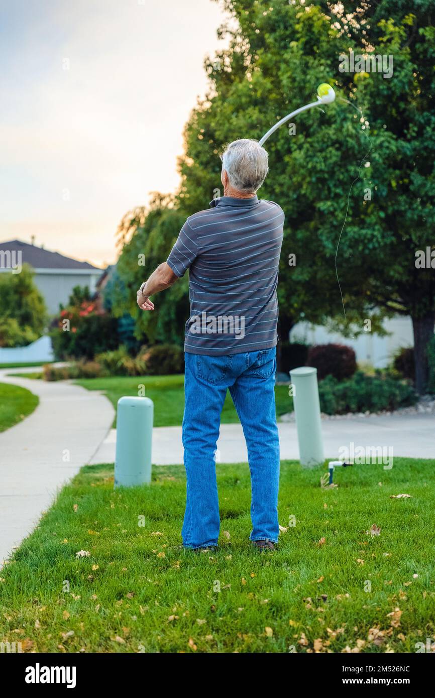A vertical shot of a man throwing a ball for a dog Stock Photo Alamy