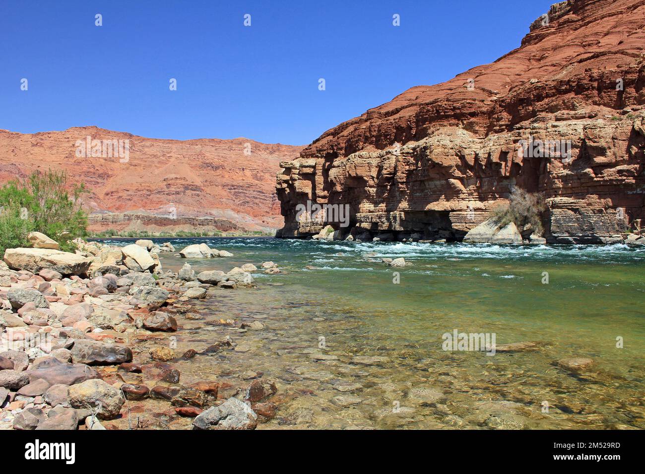 On the bottom of Marble Canyon Arizona Stock Photo Alamy