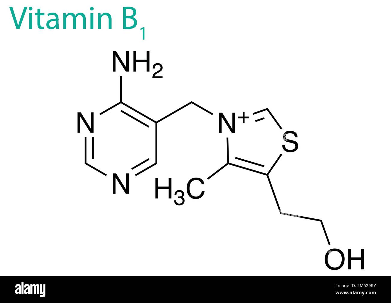 A graphic design on a white background illustrating the structure of