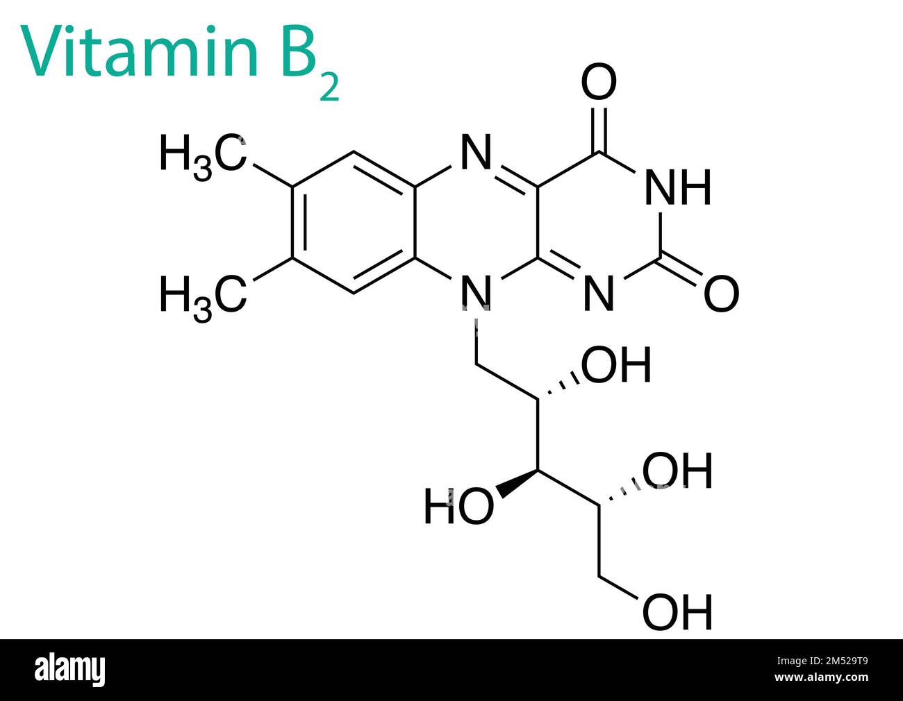 A graphic design on a white background illustrating the structure of vitamin B2 Stock Vector
