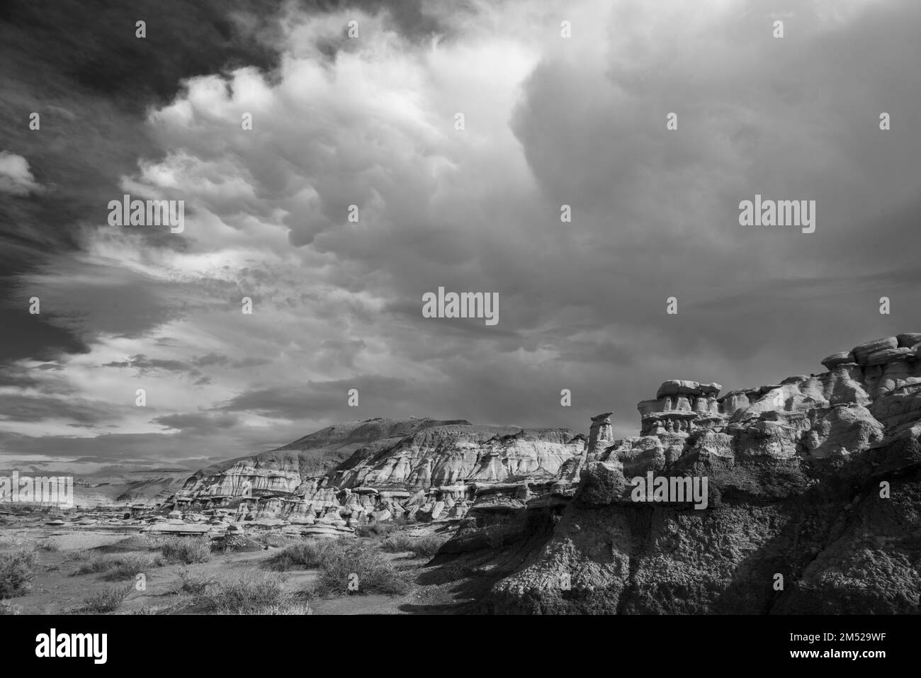 Photograph of the Bisti/DeNaZin Wilderness Area, a beautiful site of eroded clay and rock hoo
