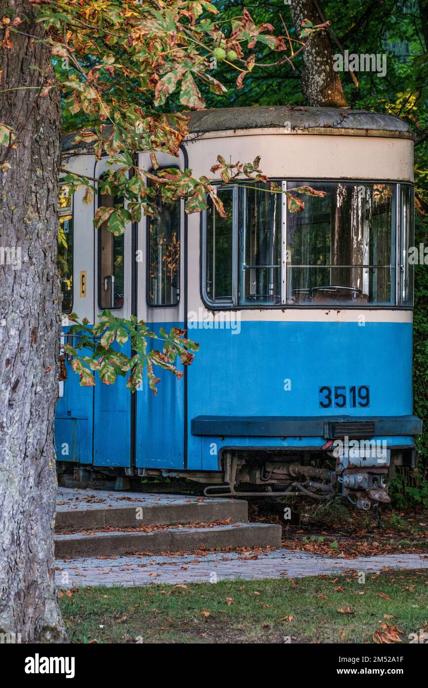 A vertical shot of old tram under trees in autumn Stock Photo