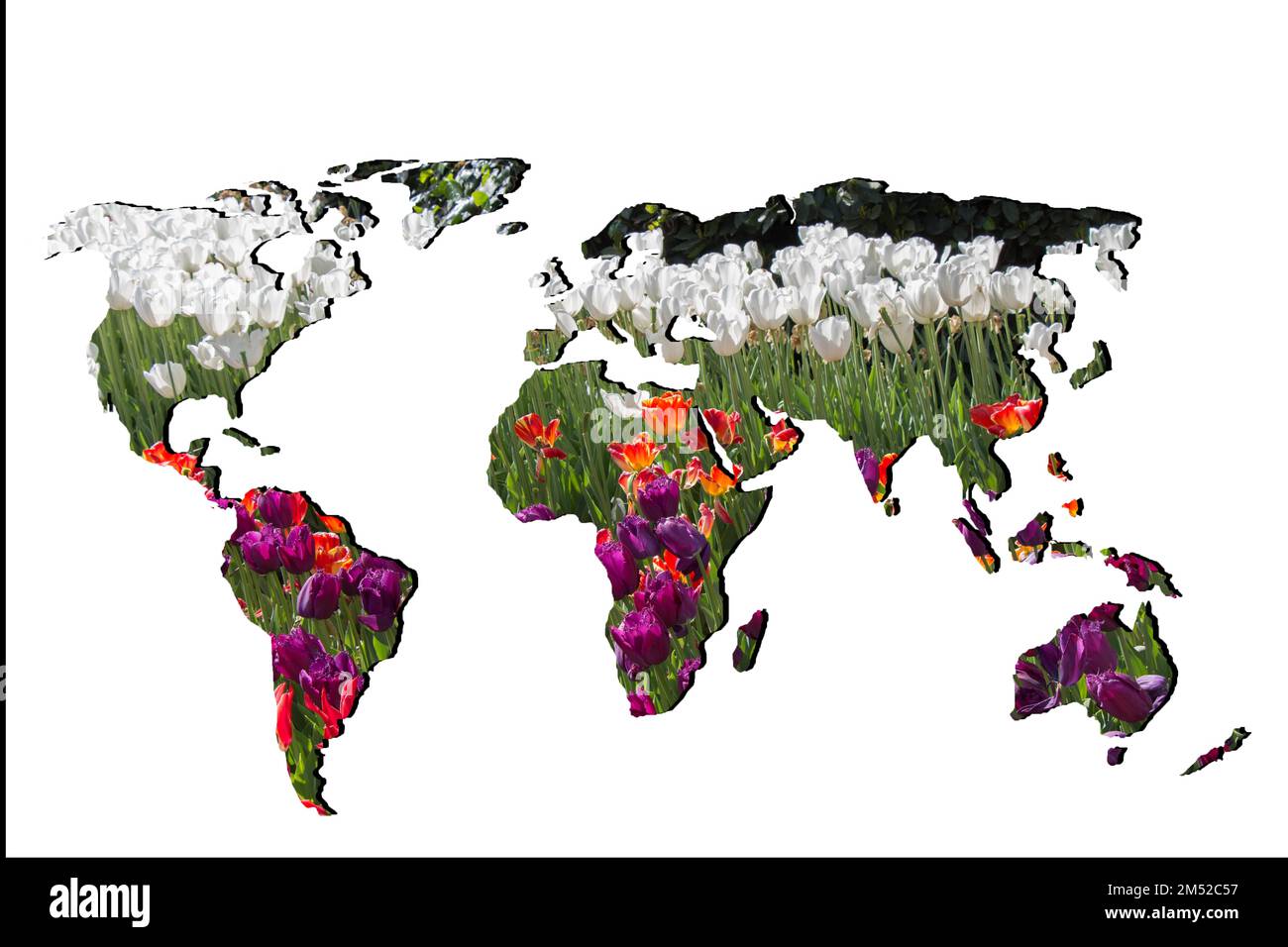 Roughly outlined world map with white background Stock Photo