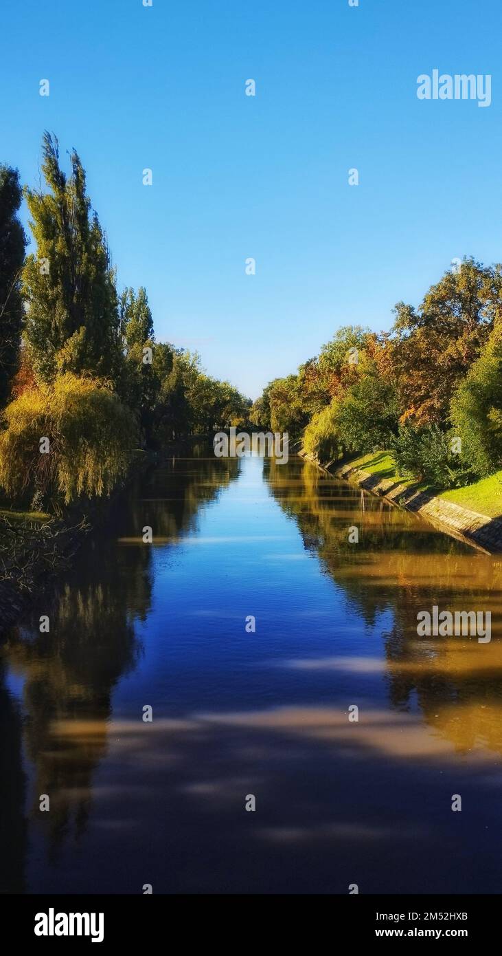A vertical shot of autumn trees with reflection in a river between them ...
