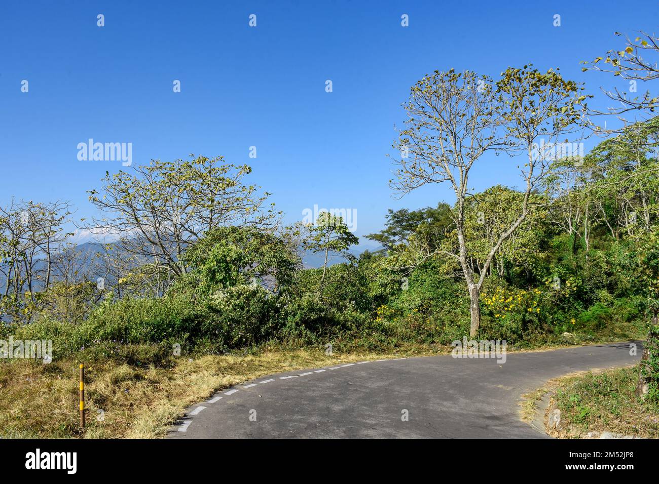 Landscape with mountains, curving road and panoramic view of Mt. Kanchenjunga from Kalimpong. Stock Photo