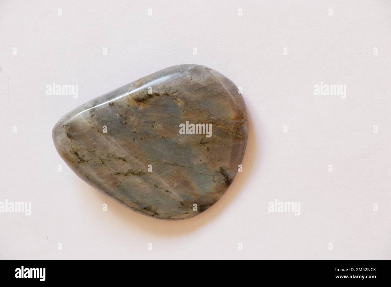 stone labrador on an isolated light background Stock Photo Alamy