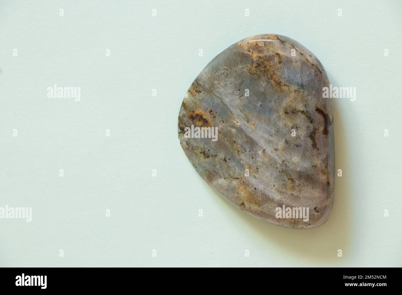 stone labrador on an isolated light background Stock Photo Alamy