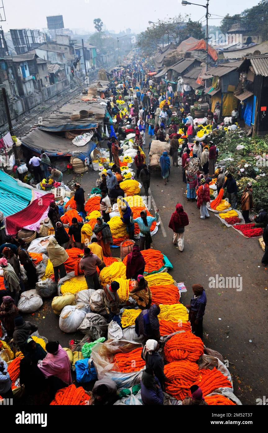 Mallick Ghat is one of the biggest flower markets in Asia. Early