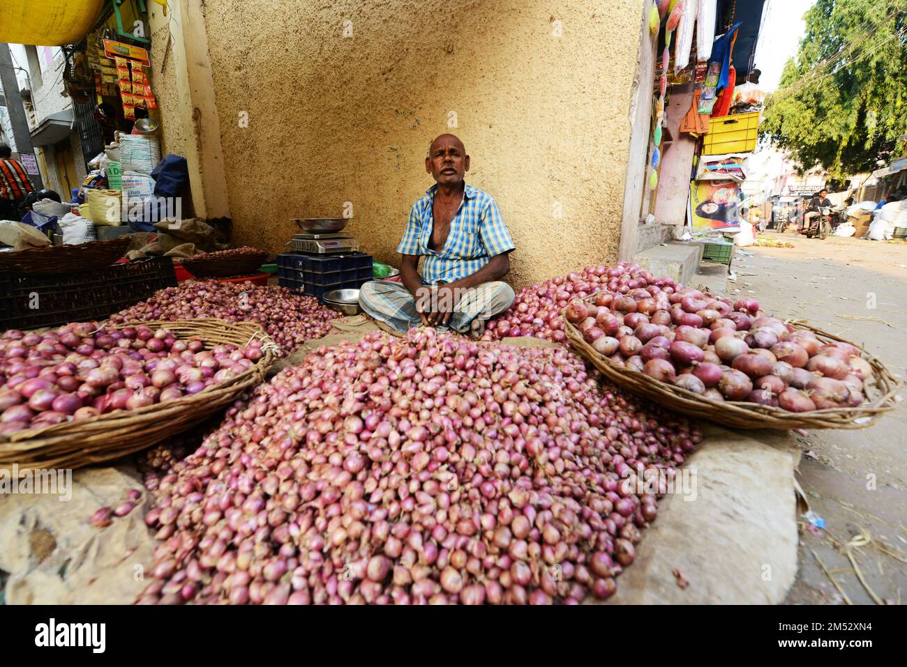 An Onion vendor in the market in Madurai, India. Stock Photo