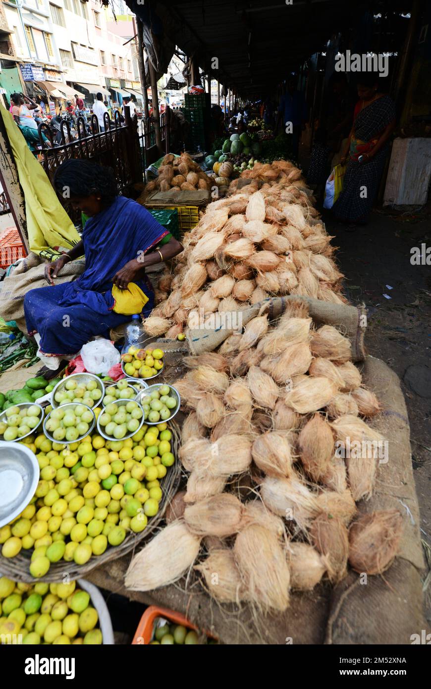 Dried coconuts and bananas sold at a shop at the market in Madurai, Tamil Nadu, India. Stock Photo