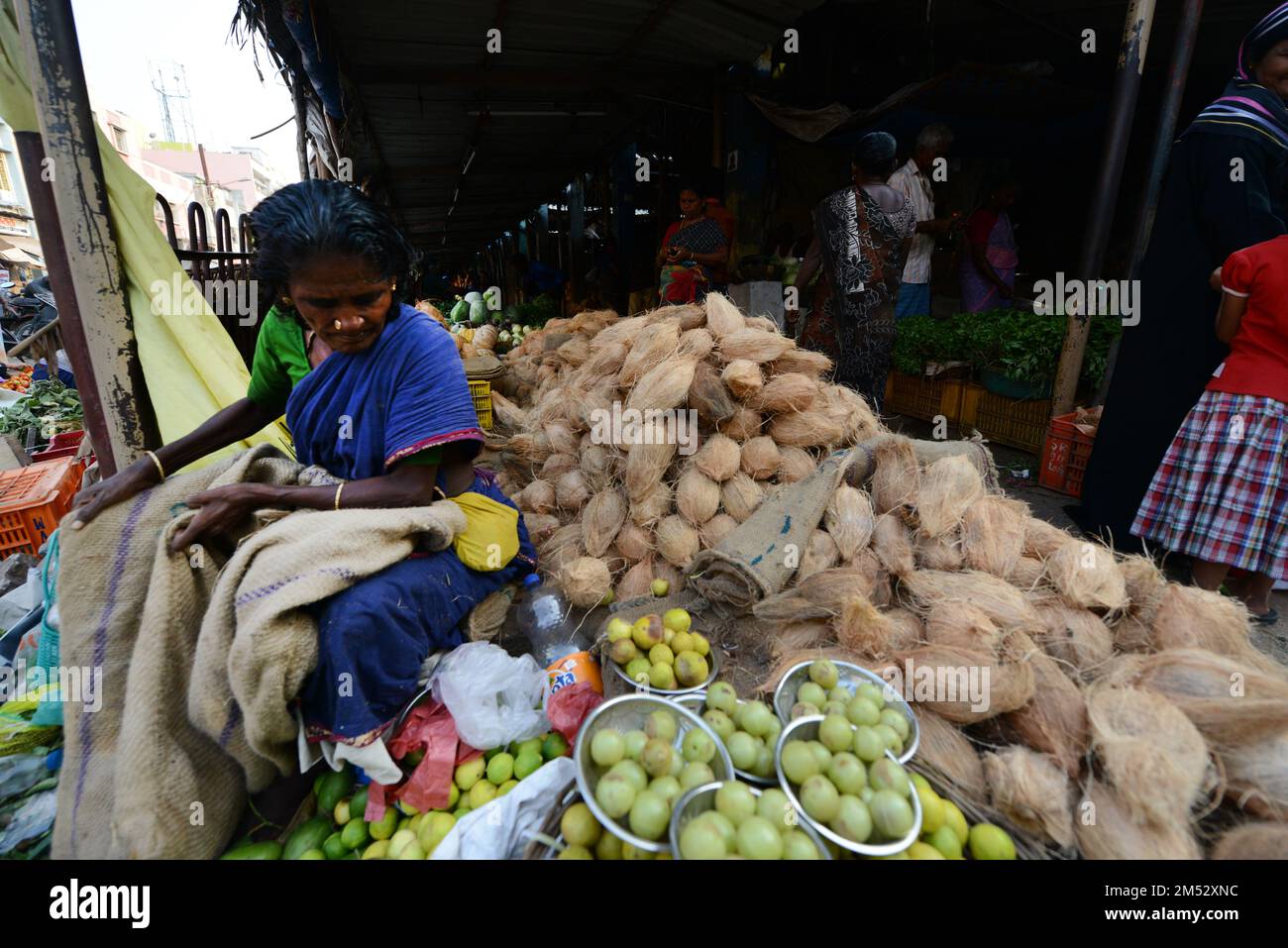 Dried coconuts and bananas sold at a shop at the market in Madurai, Tamil Nadu, India. Stock Photo