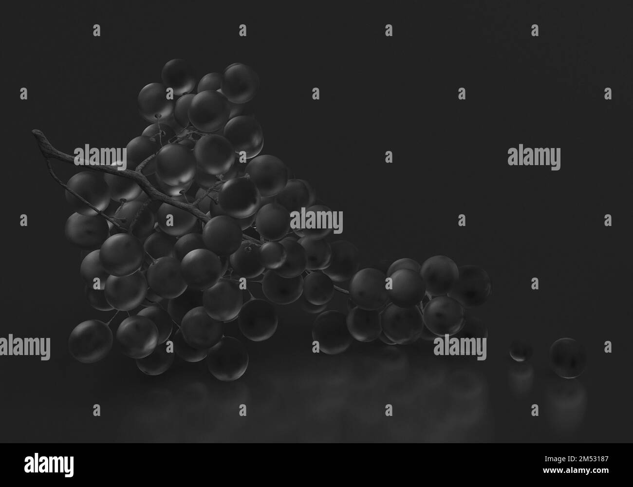 Branch of black grapes on a black background. Single color black still life. 3D render. Stock Photo